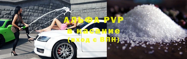 сатива Каменногорск