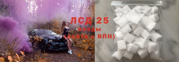 индика Алзамай