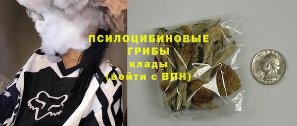 индика Алзамай