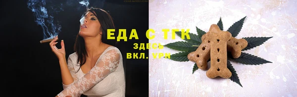 индика Алзамай