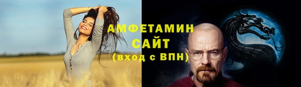 индика Алзамай