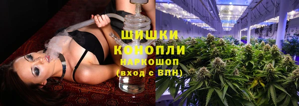 индика Алзамай