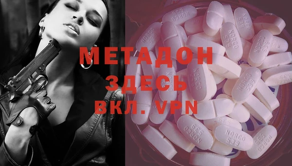 индика Алзамай