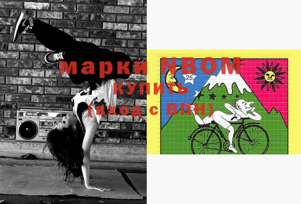 индика Алзамай