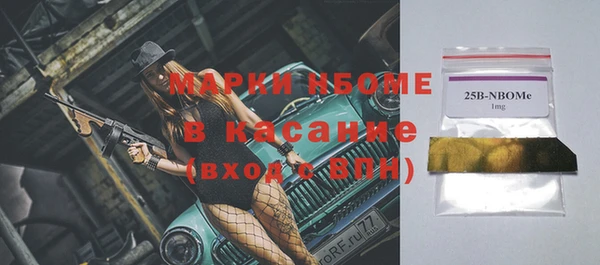 индика Алзамай