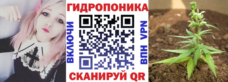 Бошки Шишки White Widow  Нарткала 